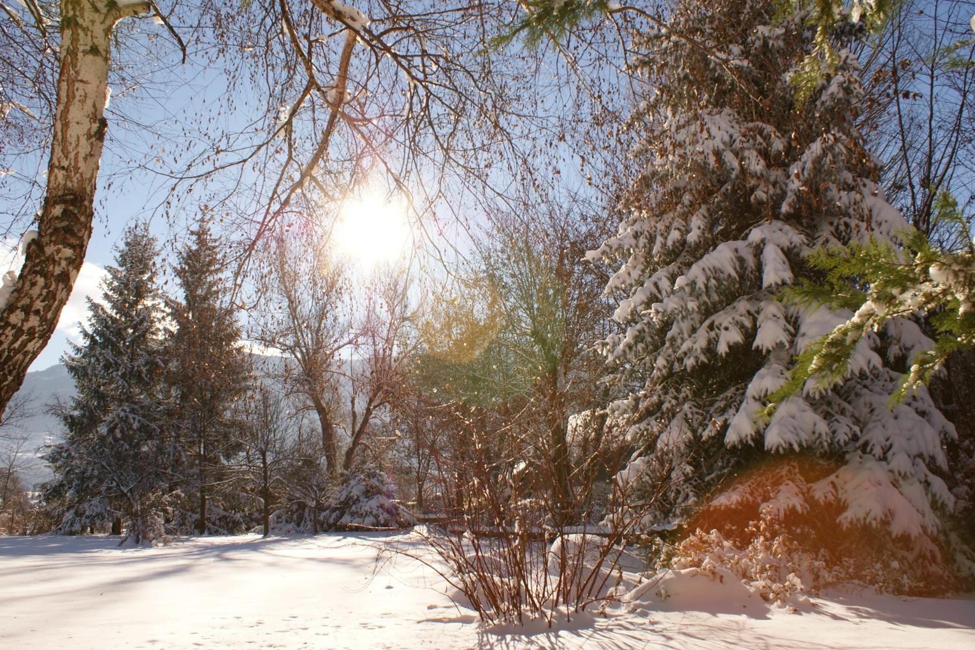 Hotel Lacour Эйглие Экстерьер фото